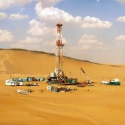 uae oil supply